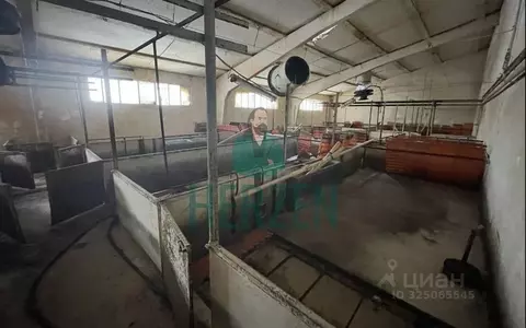 Производственное помещение в Москва д. Кузнецово,  (8000 м)
