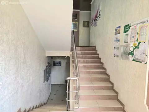 Квартира-студия: Сочи, Молодогвардейская улица, 2/34 (22.2 м)