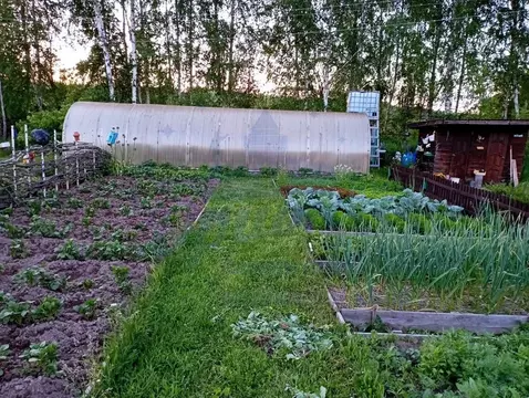 Участок в Нижегородская область, Семеновский муниципальный округ, д. ...