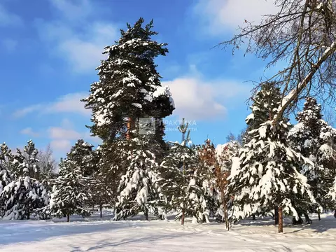 Продается участок в д. Спасское