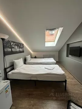 Комната Татарстан, Казань Московская ул., 13 (24.0 м)