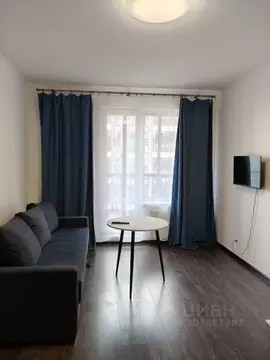 Студия Санкт-Петербург аллея Арцеуловская, 19 (24.0 м)