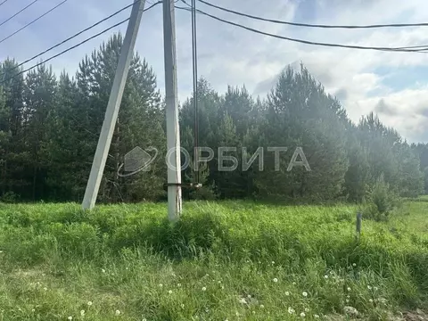 Участок в Тюменская область, Нижнетавдинский муниципальный округ, д. ...