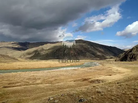 Участок в Алтай, Кош-Агачский район, Джазаторское с/пос, с. Беляши ул. ...