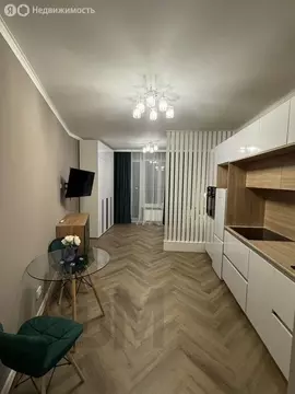 Квартира-студия: Санкт-Петербург, улица Виктора Конецкого, 5 (28 м)