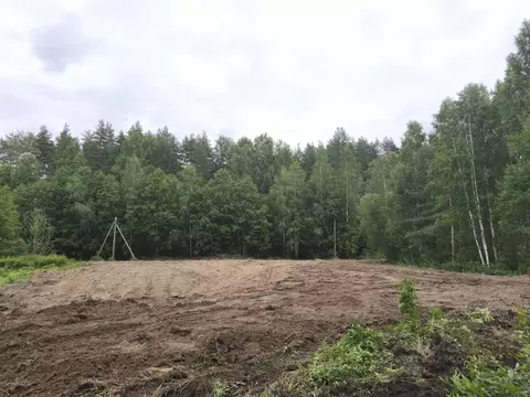 Участок в Ленинградская область, Приозерский район, Красноозерное ...
