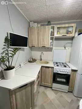 1-комнатная квартира: Якутск, улица Петра Алексеева, 4/3 (30 м)