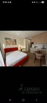 Студия Белгородская область, Белгород Донецкая ул., 79Ак4 (22.0 м)