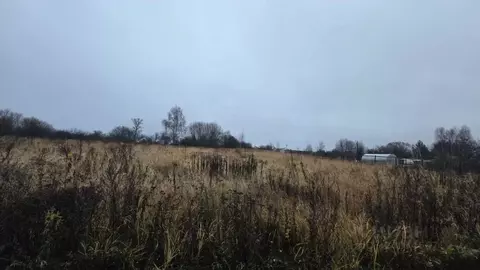 Участок в Московская область, Воскресенск городской округ, д. ...