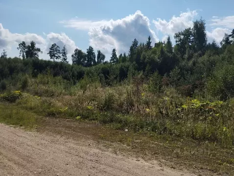 Участок в Московская область, Одинцовский городской округ, пос. Дубки ...