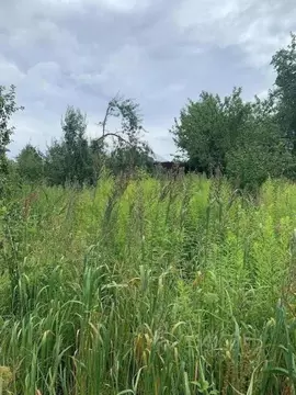 Участок в Калужская область, Дзержинский район, Рудня с/пос, д. Матово ...