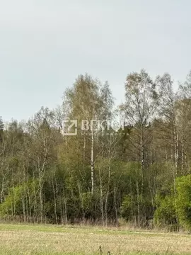 Участок в Ивановская область, Иваново ул. Киселевых (10.0 сот.)