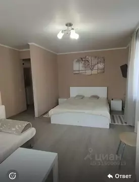 Свободной планировки кв. Татарстан, Казань просп. Ибрагимова, 15 (34.0 ...