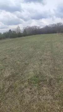 Участок в Белгородская область, Старооскольский городской округ, с. ...