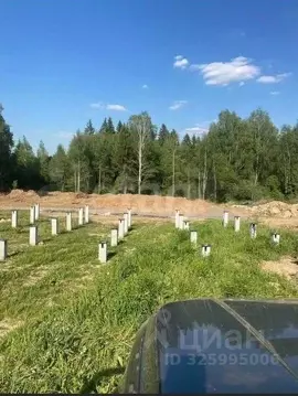 Участок в Московская область, Химки городской округ, д. Рузино, ...