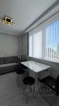 1-к кв. Краснодарский край, Сочи ул. Ленина, 290/8к1 (30.0 м)