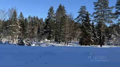 Участок в Ленинградская область, Выборгский район, Первомайское с/пос, ...