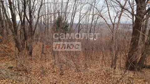 Участок в Приморский край, Артем пос. Артемовский,  (10.0 сот.)