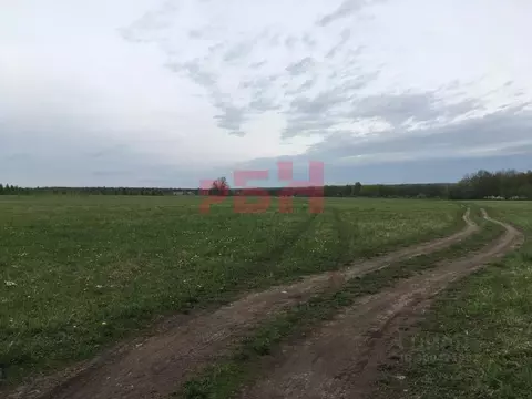 Участок в Пензенская область, Городищенский район, с. Русский Ишим ...