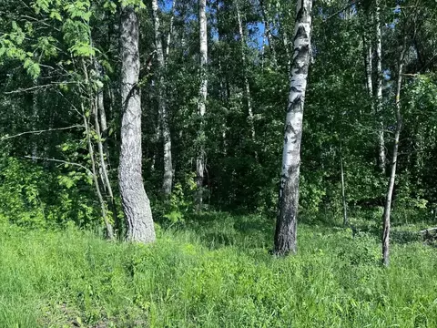 Участок в Московская область, Домодедово КП Данилово Парк тер., 320 ...
