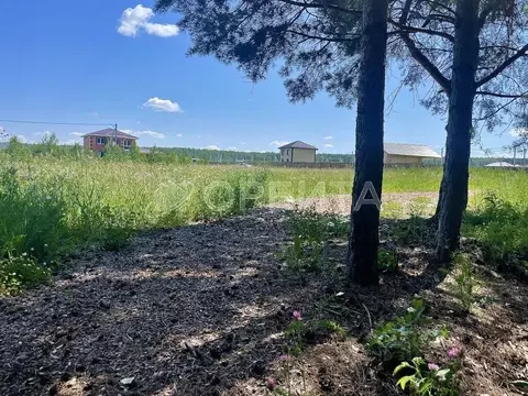 Участок в Тюменская область, Тюменский район, с. Кулига  (13.0 сот.)