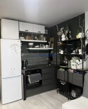 Студия Нижегородская область, Нижний Новгород ул. Бориса Видяева, 18 ...