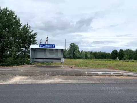 Участок в Псковская область, Печорский муниципальный округ, д. Моложва ...