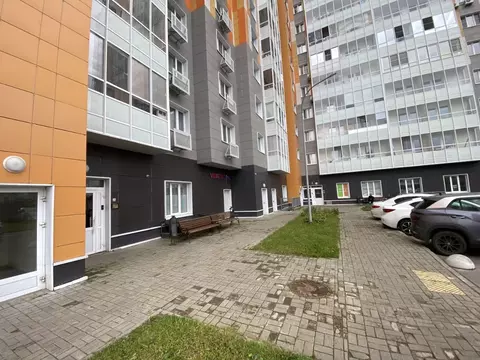 Студия Московская область, Солнечногорск городской округ, Андреевка ...