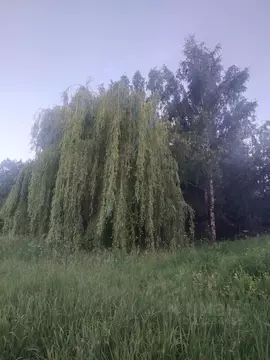 Участок в Рязанская область, Рязанский район, Вышгородское с/пос, с. ...