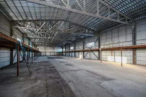 Склад в Омская область, Омск ул. 36-я Северная, 5к8 (734 м)