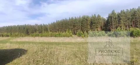 Участок в Башкортостан, Учалинский сельсовет, с. Учалы ул. Сосновая ...