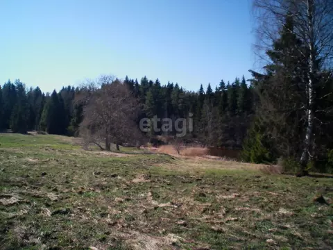 Участок в Вологодская область, Шекснинский район, Ершовское с/пос, д. ...