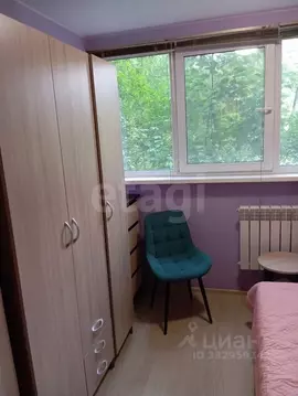 Студия Санкт-Петербург Сиреневый бул., 4к2 (13.0 м)