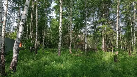Участок в Московская область, Раменский муниципальный округ, д. Жуково ...