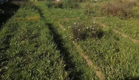 Участок в Новгородская область, Демянский муниципальный округ, д. ...