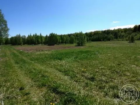 Участок в Ленинградская область, Всеволожский район, Рахьинское ...