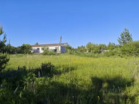 Участок в Пензенская область, Пенза Астра СНТ,  (12.0 сот.)