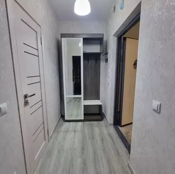 Студия Санкт-Петербург пос. Шушары, просп. Старорусский, 3к2 (26.0 м)