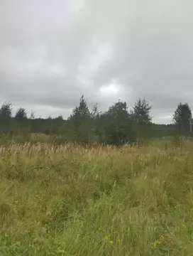 Участок в Московская область, Коломна городской округ, с. Нижнее ...