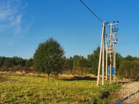 Участок в Ленинградская область, Лужский район, Заклинское с/пос, д. ...