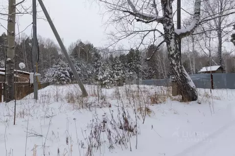 Участок в Тюменская область, Тюменский муниципальный округ, Разлив СНТ ...