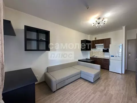 Студия Санкт-Петербург ул. Адмирала Трибуца, 7 (24.4 м)