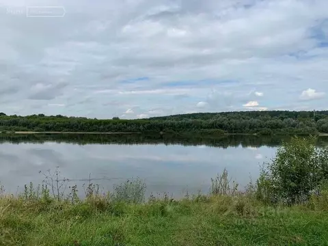 Участок в Тульская область, Ясногорский район, Иваньковское с/пос, д. ...