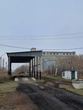 Склад в Алтайский край, Павловский район, с. Черемное  (1233 м)