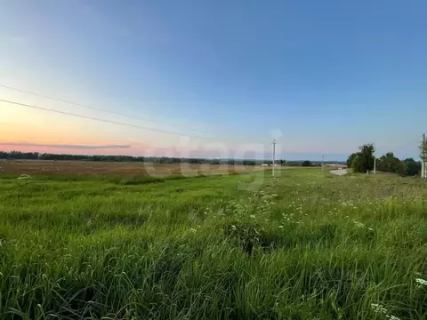 Участок в Костромская область, Нерехтский район, Пригородное с/пос, д. ...