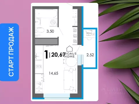 Студия Рязанская область, Рязанский муниципальный округ, с. Дядьково  ...