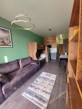 Студия Краснодарский край, Сочи городской округ, Дагомыс пгт ш. ...