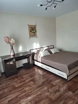 1-к кв. Красноярский край, Красноярск ул. Калинина, 185 (40.0 м)