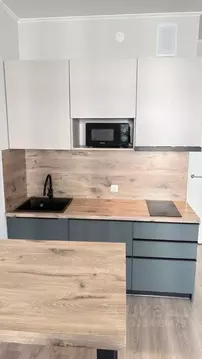 Студия Санкт-Петербург пос. Шушары, ул. Нины Петровой, 6к5 (25.0 м)