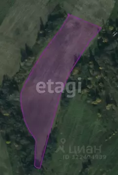 Участок в Вологодская область, пос. Харачево, Андреевская Слобода кп  ...